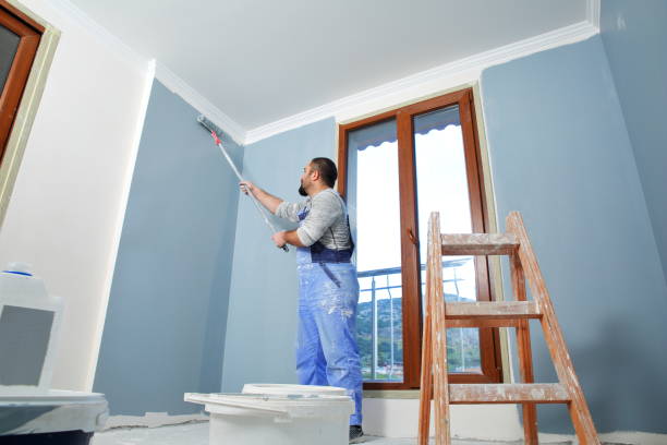 Best Mold Remediation for Healthcare Facilities  in Belen, NM