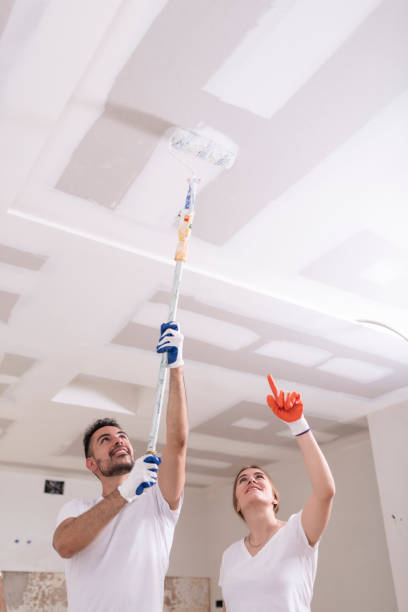 Best Mold Remediation for Vacation Homes  in Belen, NM