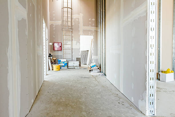 Best Dehumidification Services  in Belen, NM